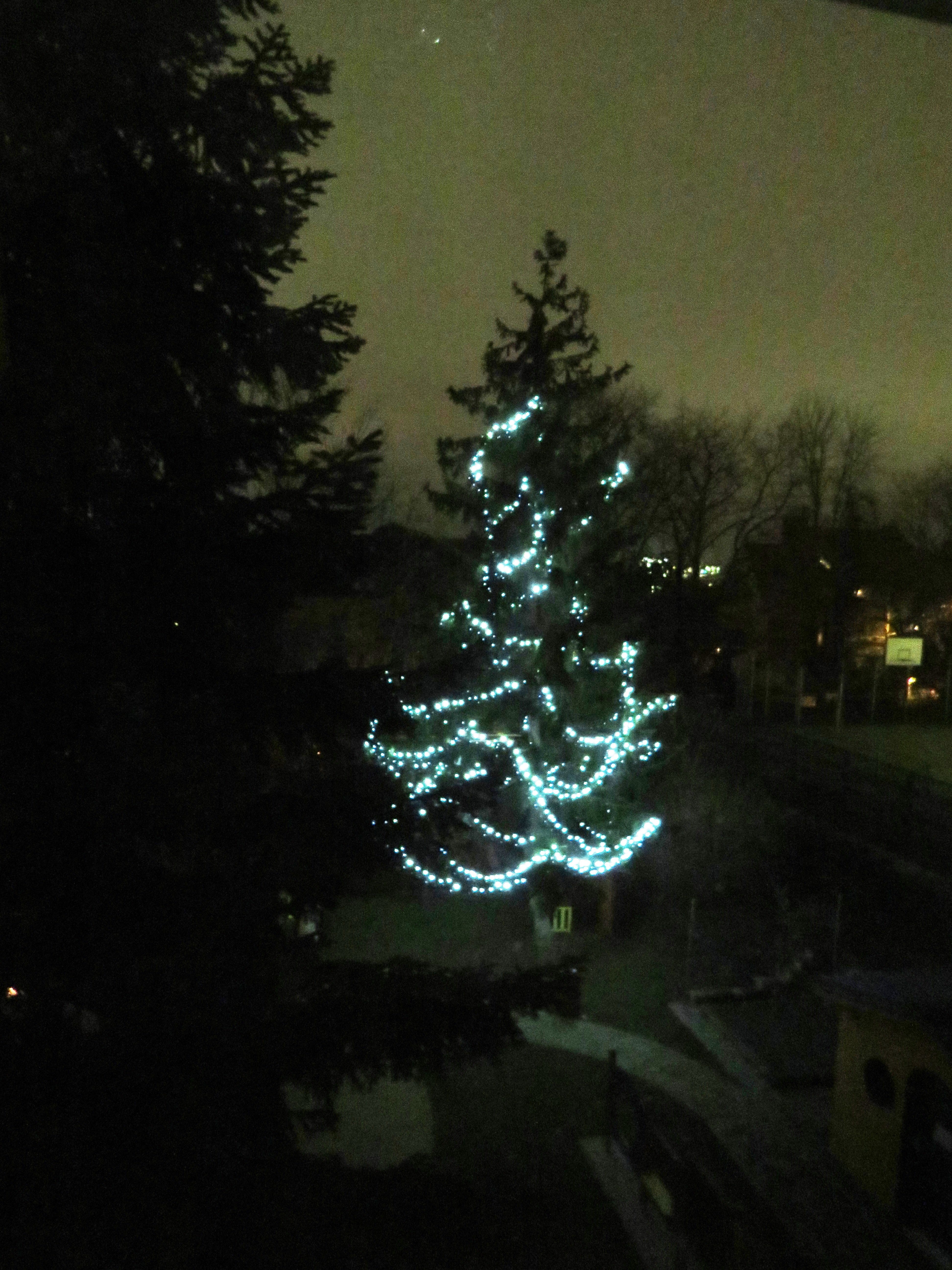 “Rozsvícení vánočního stromečku na Lobkovičáku”