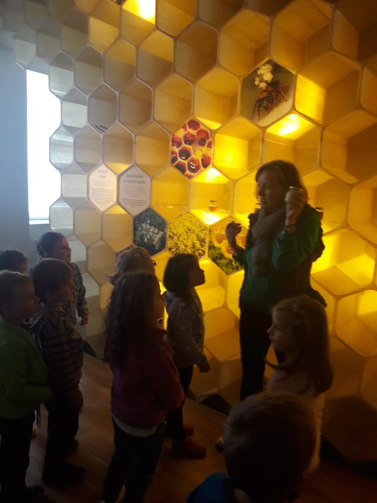 Návštěva “Včelího světa” dětí z MŠ Lobkovicova